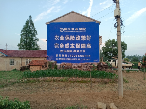 当涂墙体广告为何受追捧？